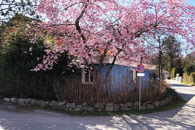 Ferienwohnung Seeshaupt