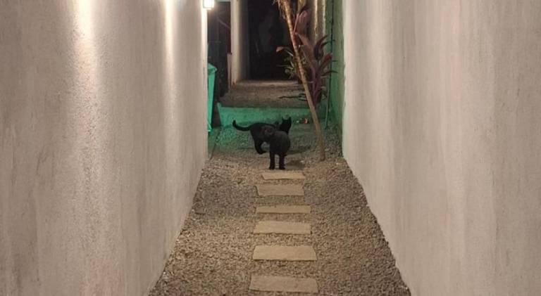 Vacation home | Next to the beach | Pets allowed — photo 4