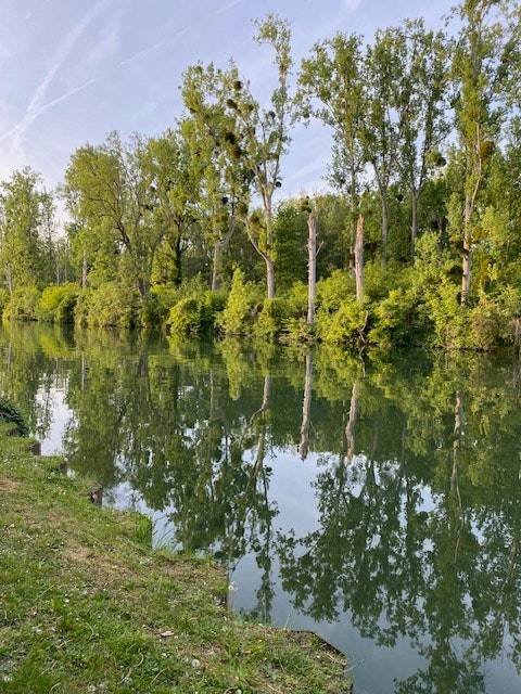 foto40