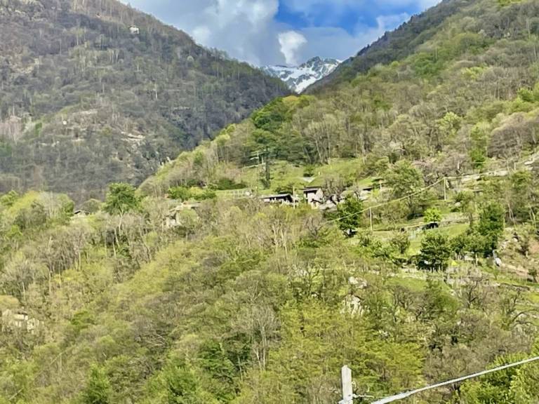 foto21