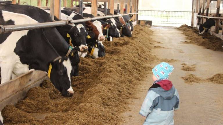 Ferienhaus Albersdorf