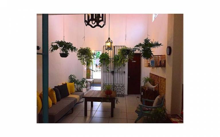 Casa Canario — photo 3