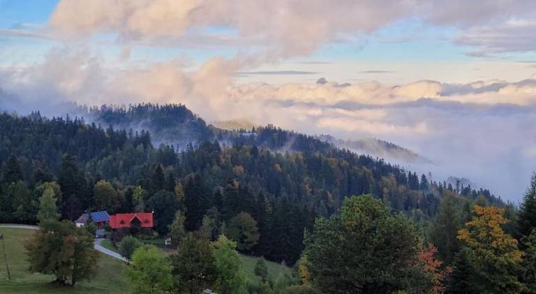 Damská farma  Litmanová
