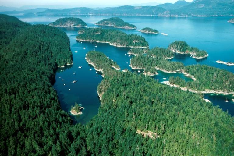 Cabin Cortes Island