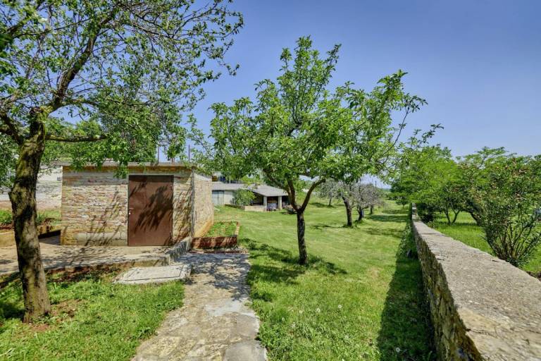 foto5