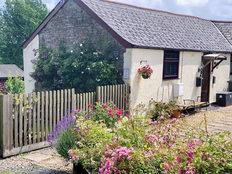 Cottage Clovelly