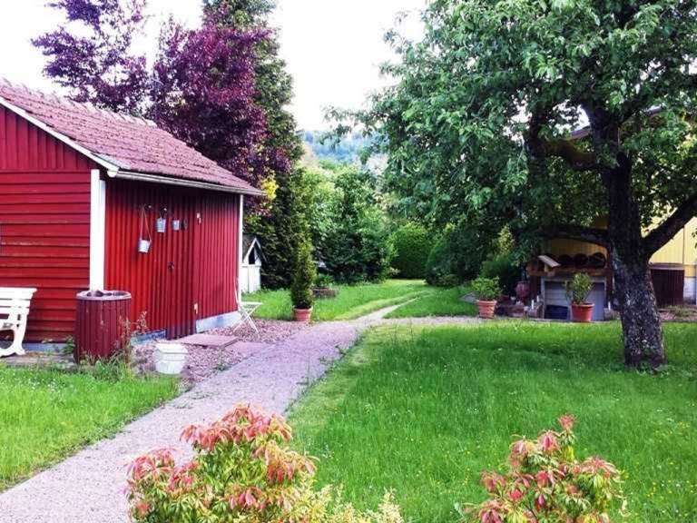foto23
