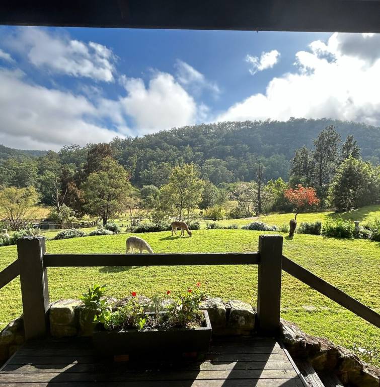Farmhouse Wollombi