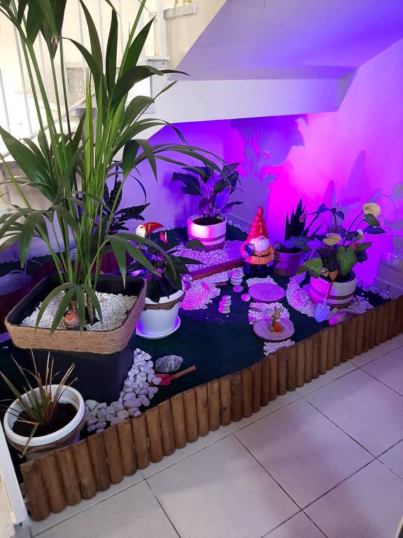 foto6