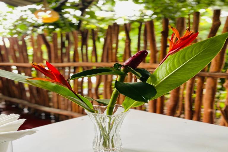 Gajaa Corido Safari Homestay in Udawalawa