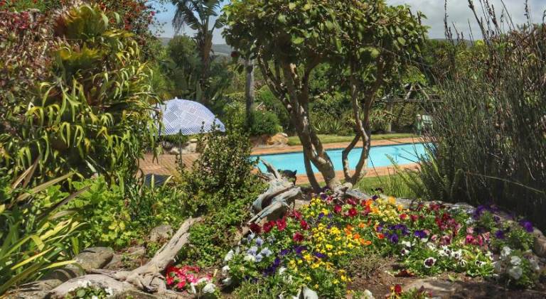 Appartement Knysna