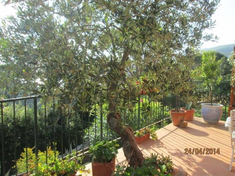 Appartement Monte Argentario