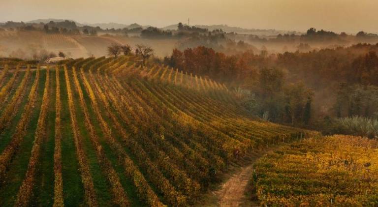 foto30