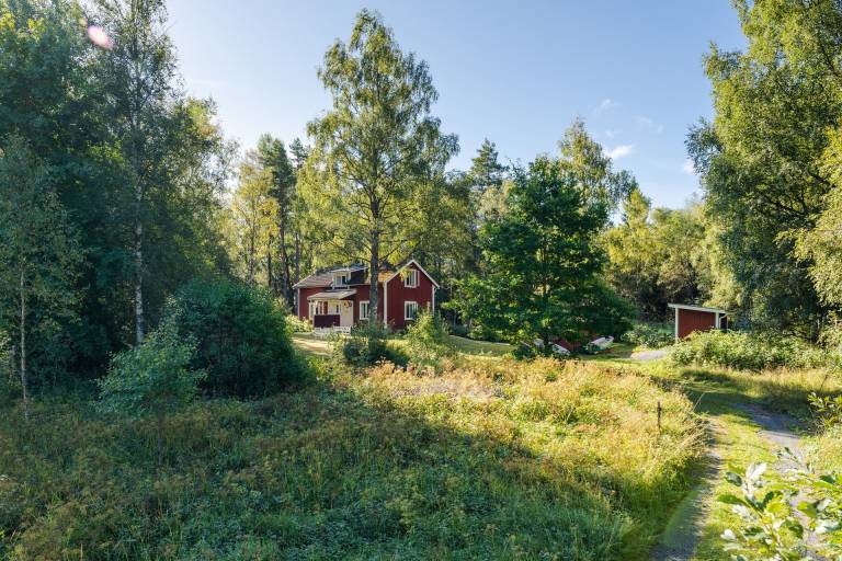 foto20