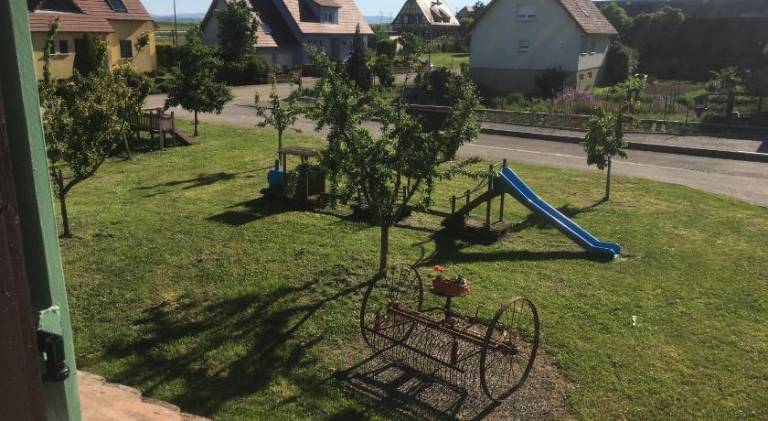 foto12