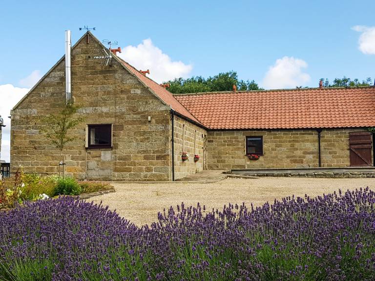 Cottage with garden & barbeque in Scarborough