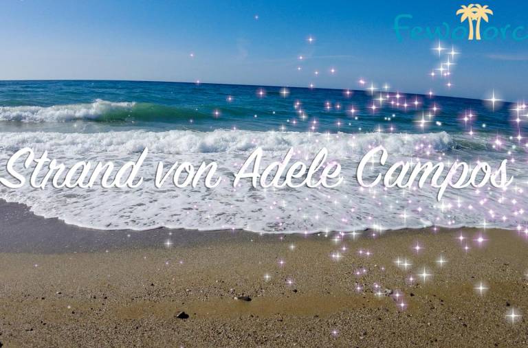 foto26