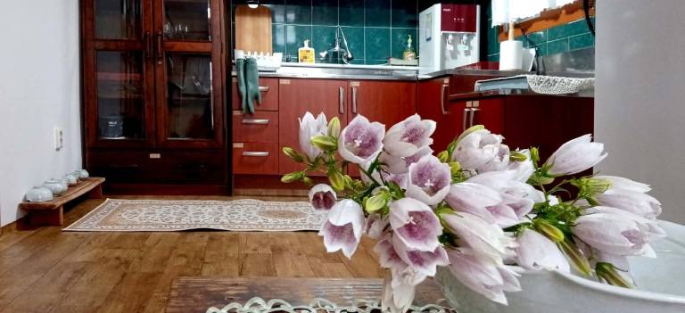 Vacation home with 2 rooms for 8 persons — photo 5