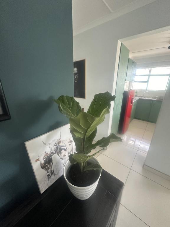foto5