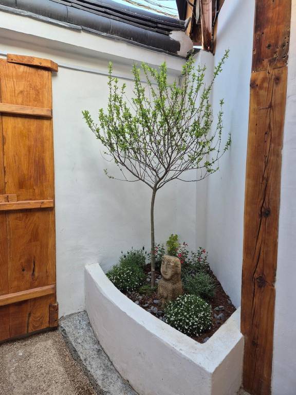 foto25
