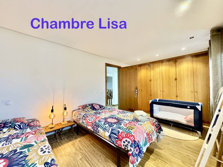 Privatzimmer mit Hund in Vila Praia de Âncora, Atlantikküste f&uuml;r max. 2 Personen am Atlantik