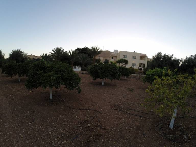 foto5