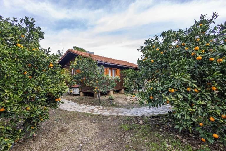 Maison de vacances Ulupınar Mahallesi