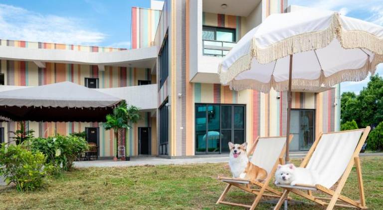 Pet Taitung Rainbow Maison Resort Hotel （民宿編號721號） — photo 3