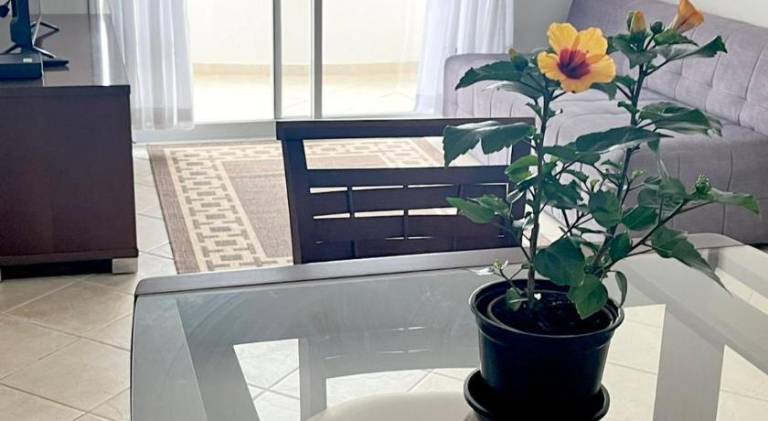Holiday apartment with 2 rooms for 7 persons — photo 4