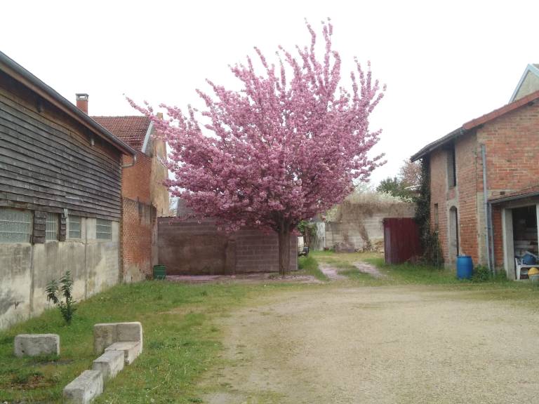 Appartement Vitry-le-François