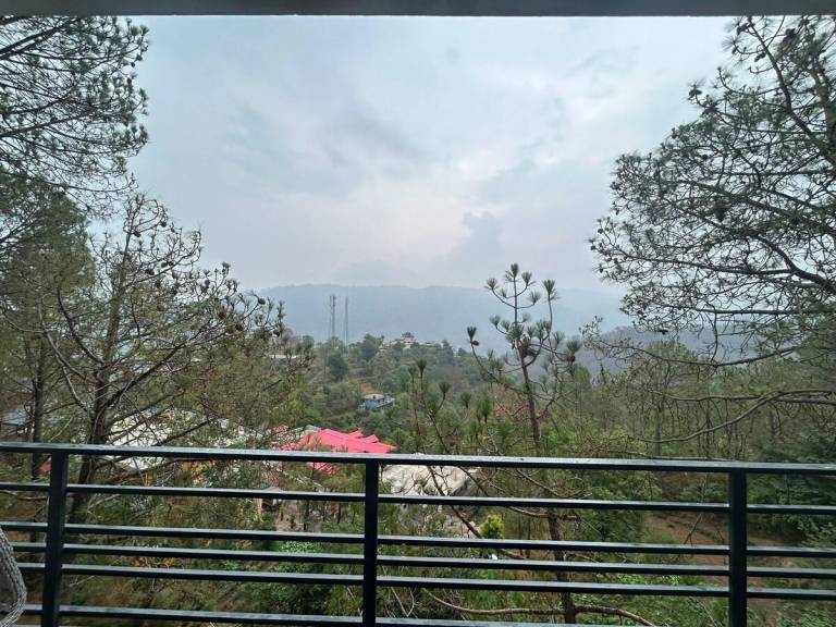 foto5