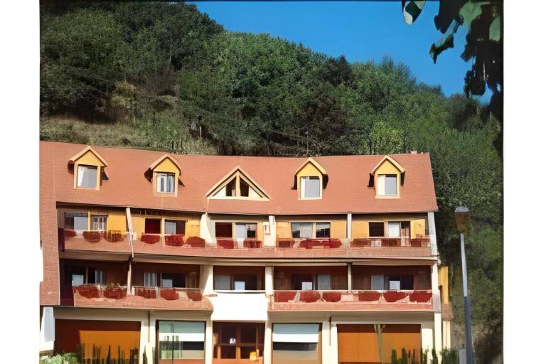 Hotel Les Remparts in Riquewihr