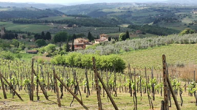 Privatzimmer San Casciano in Val di Pesa