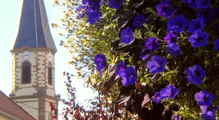 foto6