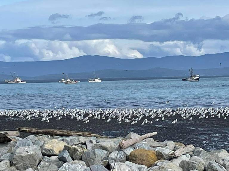 Bed and breakfast  Qualicum Beach