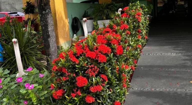 foto6