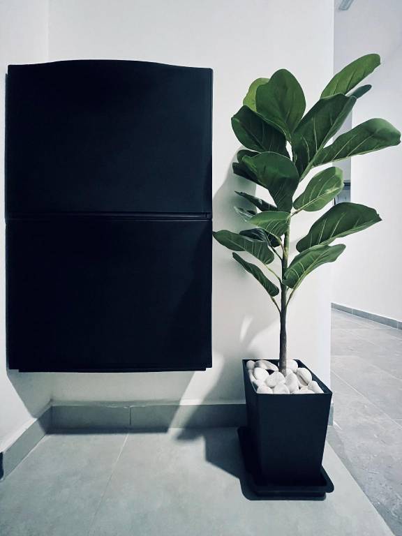 foto11