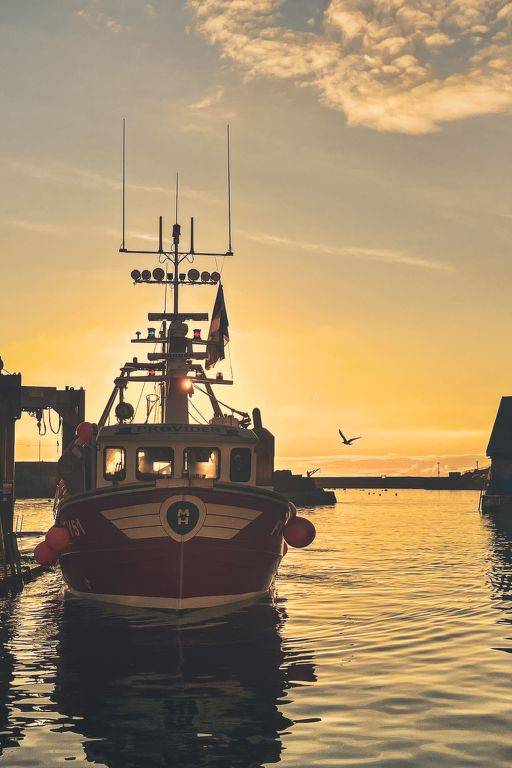 Appartement Mevagissey