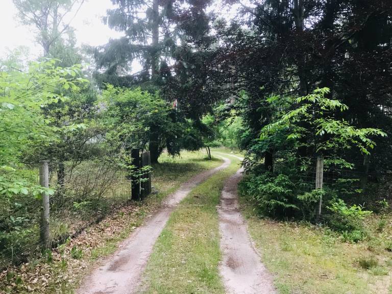 foto17
