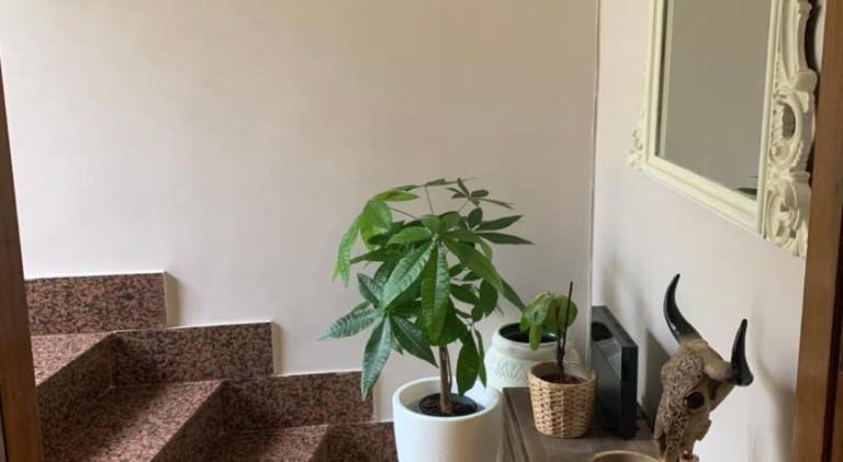 Apartment with 2 rooms for 6 persons — photo 4
