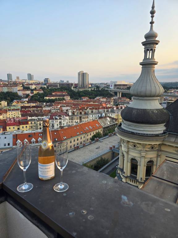 Apartment Prague 3