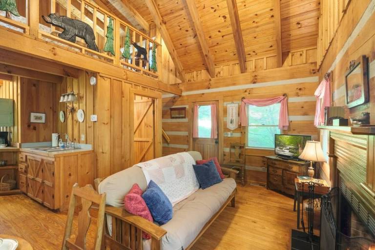 Cabin Townsend