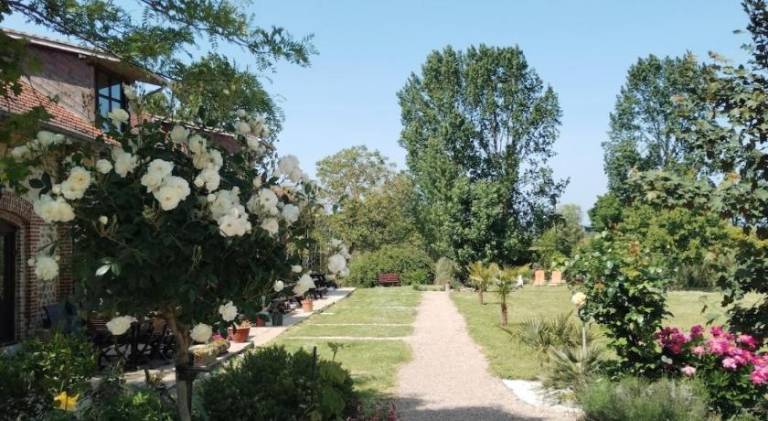 foto17