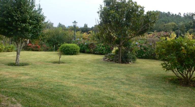 foto31