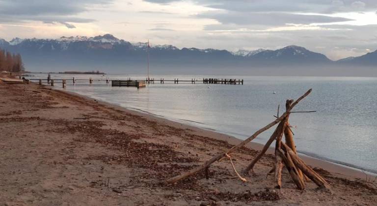 Pleasant apartment | Close to the beach | Pet-friendly in Morges