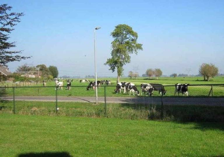 foto15