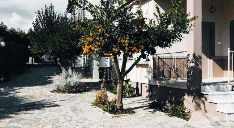 Nice vacation home | Pets are welcome — photo 4