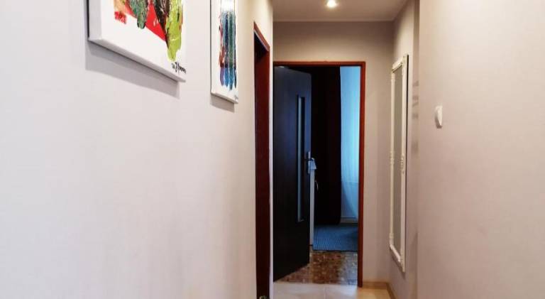 Holiday apartment | Pet-friendly — photo 4