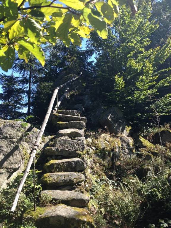 foto35