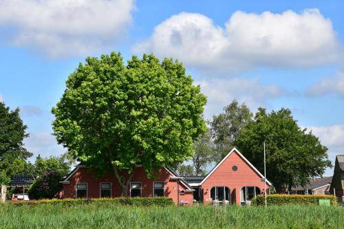 Bed & Breakfast Doezum